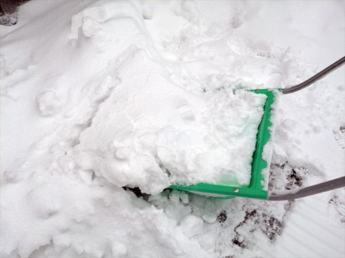 スノーダンプでの除雪１２月１５日