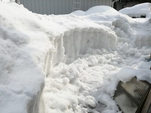 雪の溝掘り１月２４日