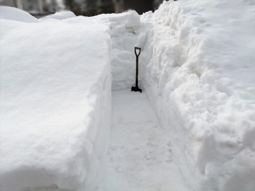 雪の溝掘り１月２４日