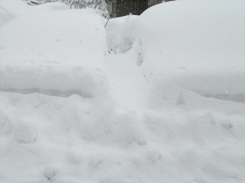 雪に埋もれた２月４日