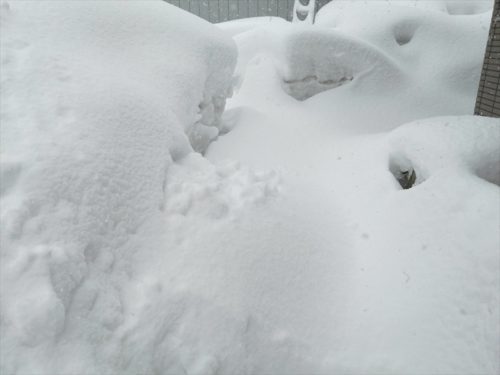 雪に埋もれた２月４日